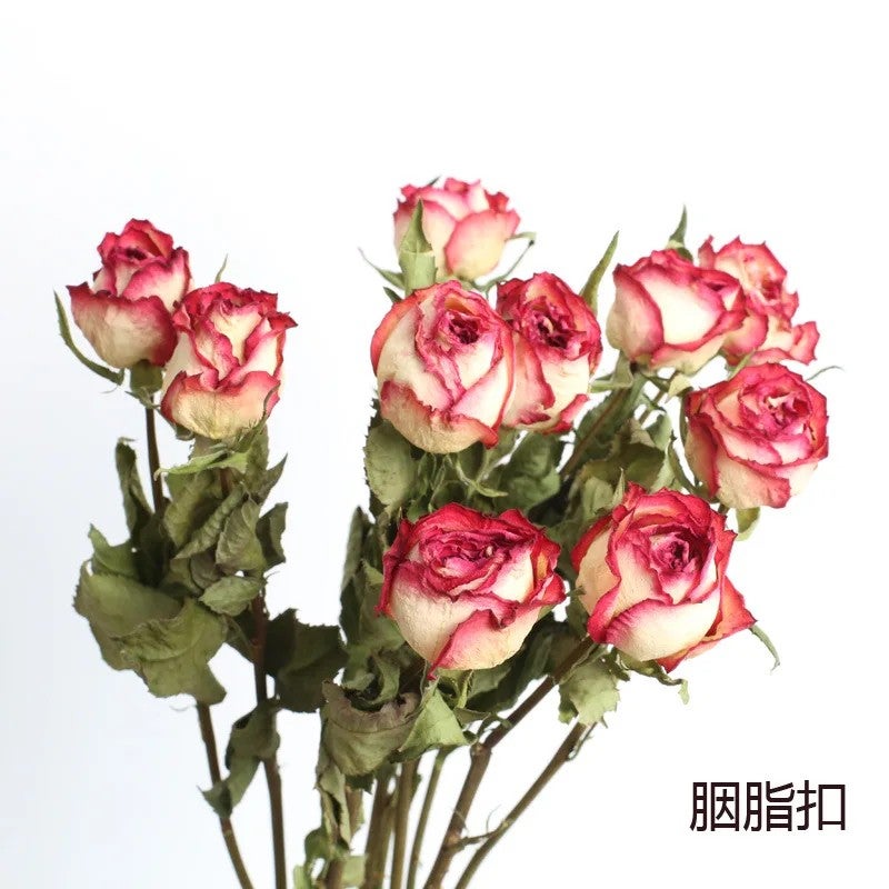 Bluejw Real Natural Dried Roses Bouquet Long Stem, Cheap Dried Plants Flower Arrangement for Home Decor - Image 1