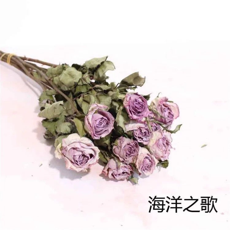 Bluejw Real Natural Dried Roses Bouquet Long Stem, Cheap Dried Plants Flower Arrangement for Home Decor - Image 5
