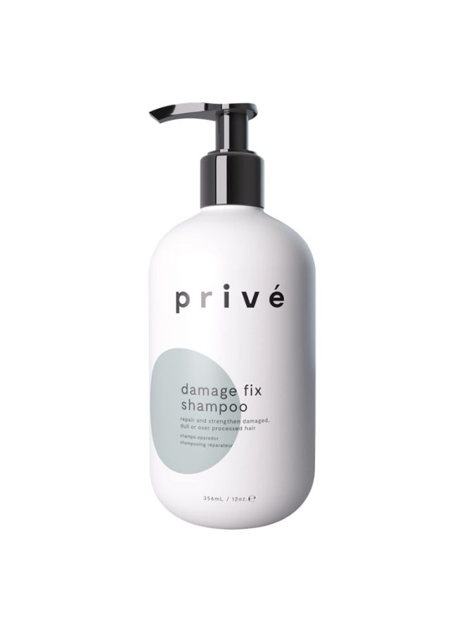 PRIVE Priv Damage Fix Shampoo Repair and Strengthen Damaged Dull or Over Processed Hair from Within Natural Ingredients Vegan CrueltyFree ColorSafe Shampoo 12 oz 356 ml - Image 2