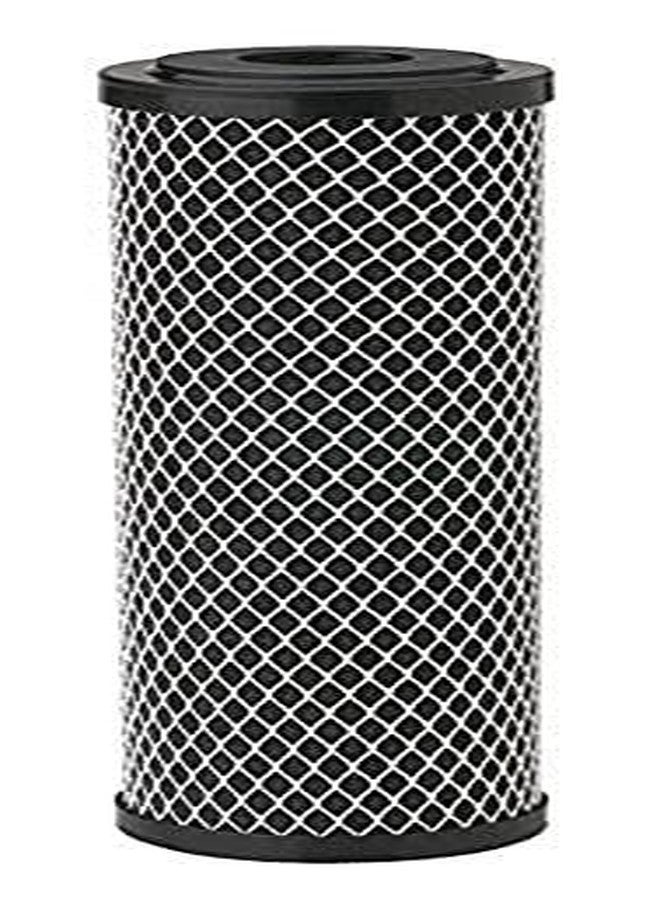 Pentek 255679-43 Carbon Filter - Image 3