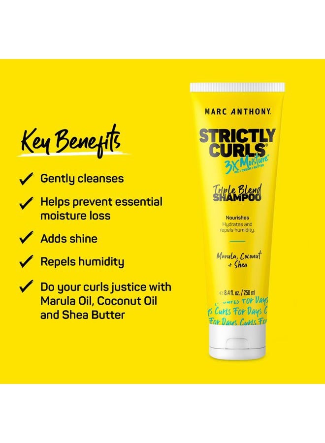 MARC ANTHONY Curly Hair Shampoo, Strictly Curls - 3x Moisture For Curl Defining & Curl Enhancing - Shea Butter, Marula Oil, Aloe Vera & Coconut Cream - Sulfate Free & Color Safe For Dry Damaged Hair - Image 2