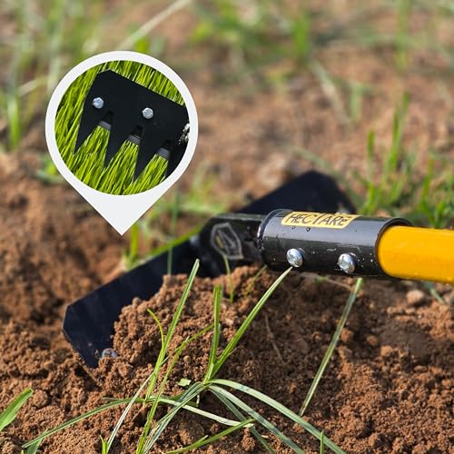 HECTARE Deep Root Weeder Cultivator Head (8-Inch) | Heavy Duty Metal Garden Tool for Root Removal | Essential Agriculture Equipment for Tilling and Weeding - Image 5
