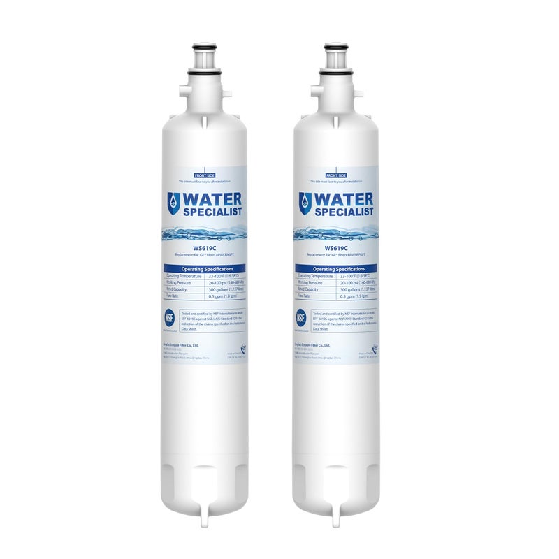 Waterspecialist Replacement for GE RPWFE RPWF Builtin CHIP Refrigerator Water Filter Compatible with GYS22GMNES GYE22HSKSS PYE22PELDS GFE26GMKES GFE28GYNFS PFE28KYNFS 2 Filters