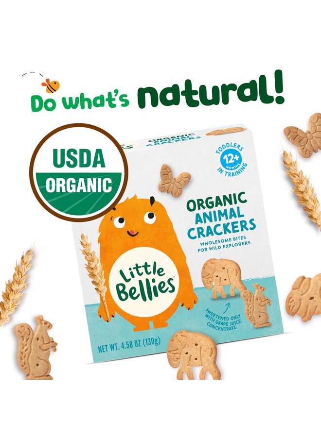 Little Bellies - Little Bellies Organic Animal Crackers Toddler Snack (Pack of 5 x 4.58 oz Individual Packs) - Image 1