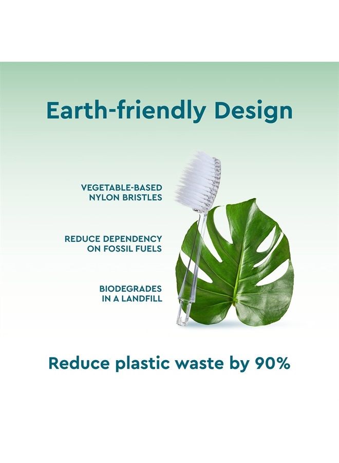 Radius Toothbrush Replacement Brush Heads 2-Count Improve Gum Health & Reduce Gum Issues - Super Soft - Pack of 1 - Image 3