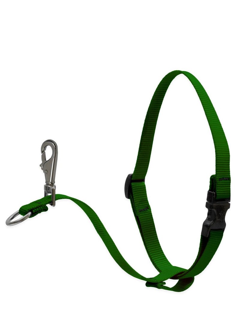 Dog Basic Solids No Pull Harness Belt Green