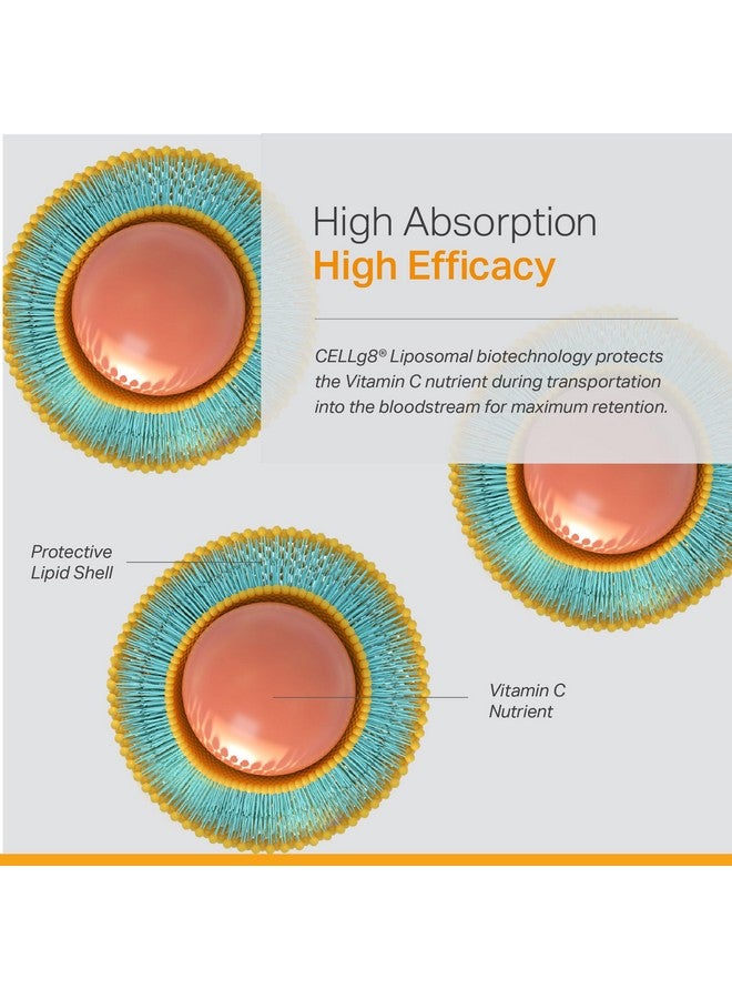 ANEW VITA Anew Vita Liposomal Vitamin C Supplement - Enhanced Immunity Support, Antioxidant Rich, Optimal Absorption & Bioavailability, Ascorbic Acid Power, Non-GMO, Gluten-Free, Plant-Based - 120 Veggie Caps - Image 4