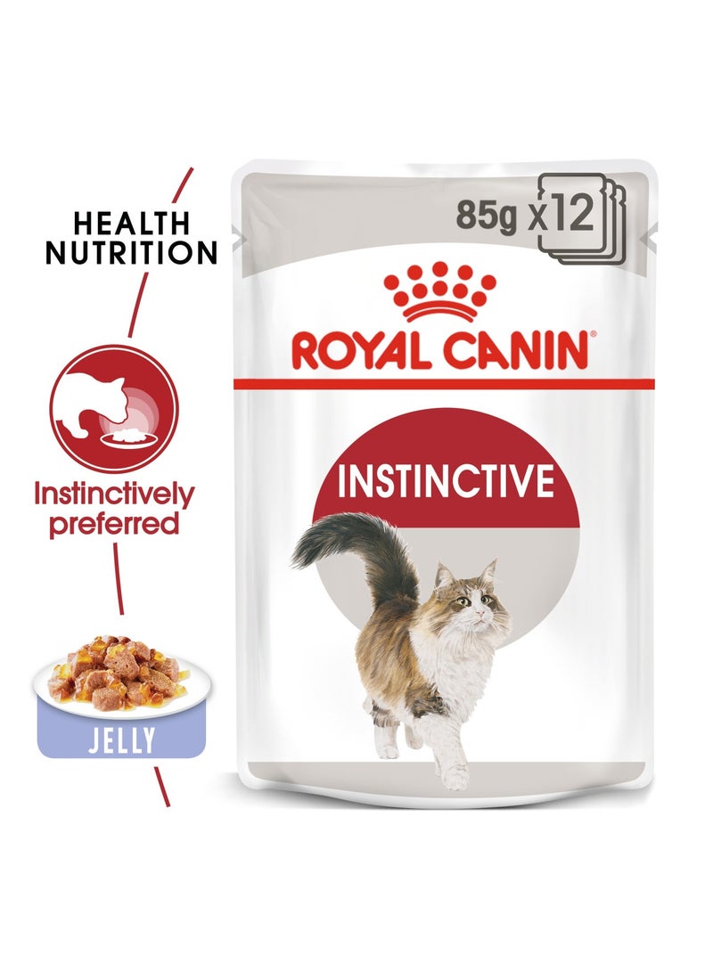 رويال كانين غذاء صحي للقطط غريزي للقطط البالغة (أغذية رطبة - أكياس) طعام رطب للقطط