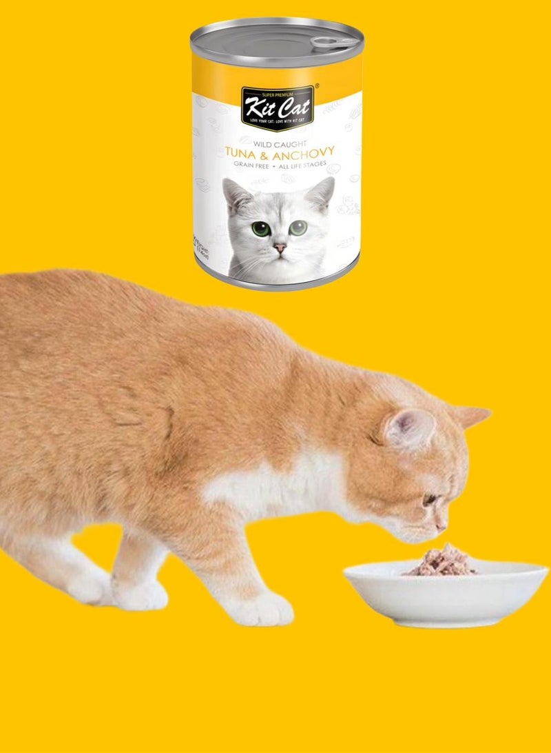 كيت كات كت كات (24 عبوة ) طعام قطط رطب بنكهة التونة والانشوفة لقطط الصغيرة والكبيرة / 400 غرام - Image 5
