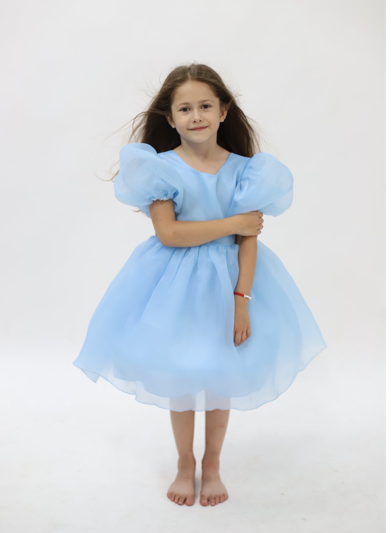 D'Daniela Tulle Volume Dress Blue - Image 1