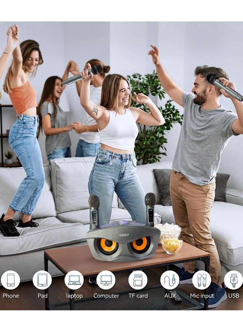 SDRD Karaoke Machine with 2 Wireless Microphones, Portable Karaoke Machine for Adults & Kids,Karaoke Microphone with PA System,Karaoke Speaker Supports for TWS,USB,FM,REC,AUX in,TF Card - Image 2