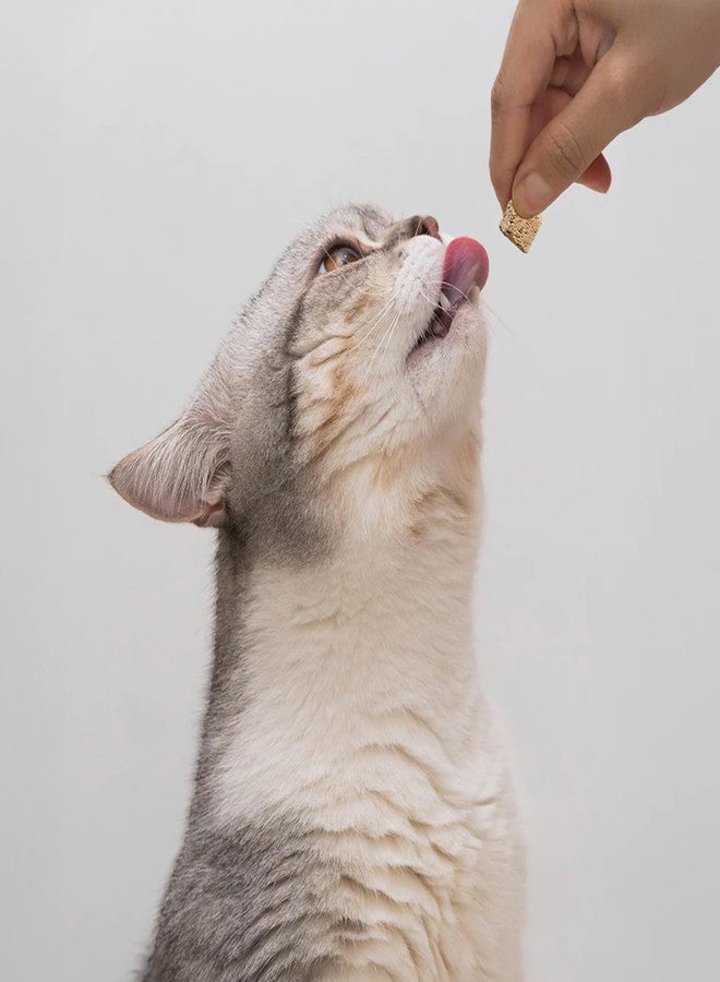 Open Farm أوبن فارم، كيتي كيوبز، مكافآت قطط مجففة بالتجميد، خالية من الحبوب، غنية بالبروتين مع البروبيوتيك، وأحماض أوميغا الدهنية، والأطعمة الخارقة، بنكهة سيرف آند تيرف، عبوة 1.5 أونصة - Image 2