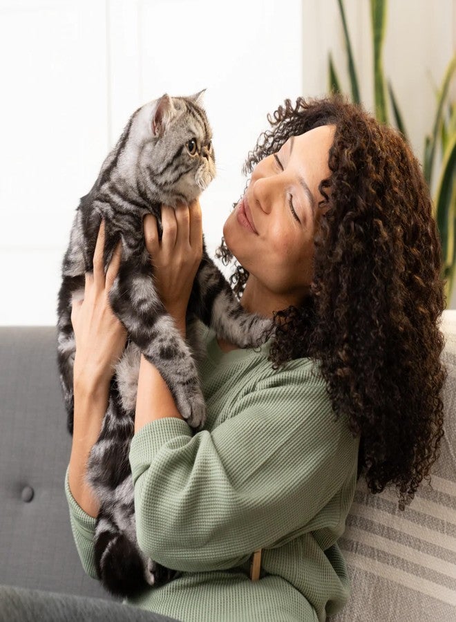 Open Farm أوبن فارم، كيتي كيوبز، مكافآت قطط مجففة بالتجميد، خالية من الحبوب، غنية بالبروتين مع البروبيوتيك، وأحماض أوميغا الدهنية، والأطعمة الخارقة، بنكهة سيرف آند تيرف، عبوة 1.5 أونصة - Image 5