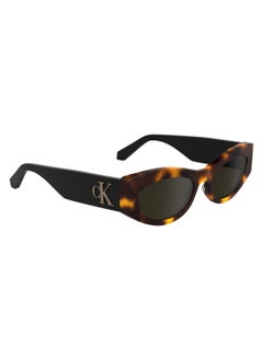 Calvin Klein Jeans FULL RIM BIO INJ-G820 ACETATE CALVIN KLEIN JEANS SUN CKJ24626S 5219 (235) HAVANA  - Image 3