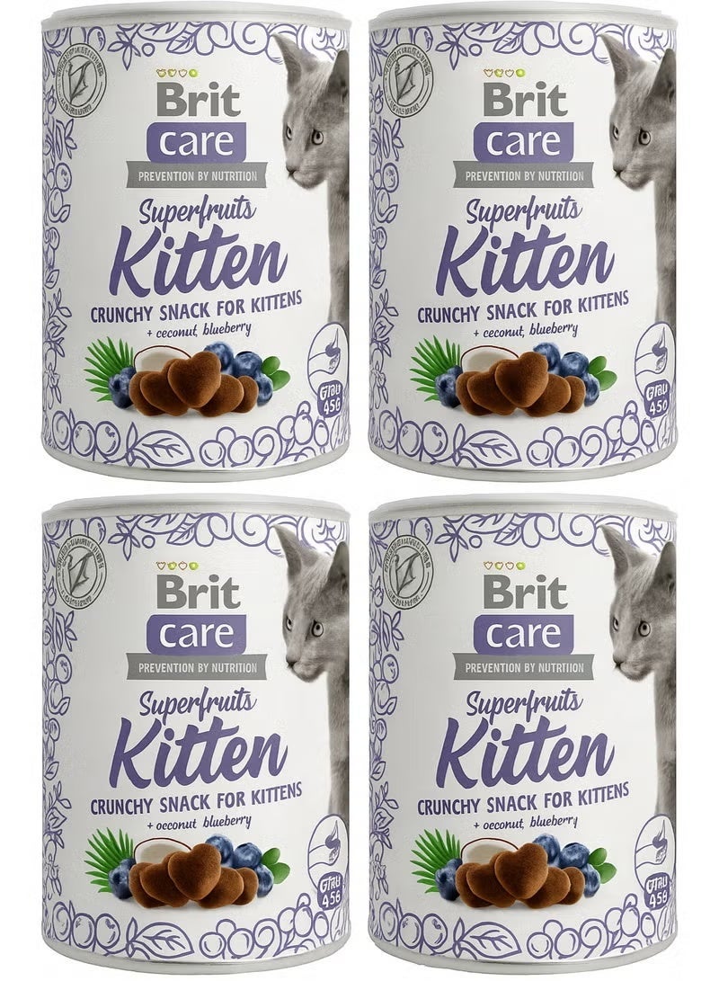 بريت كير وجبة خفيفة مقرمشة من الفواكه الخارقة + جوز الهند والتوت البري للقطط الصغيرة ١٠٠ غرام من بريت كير - عبوة من ٤ قطع - Image 1