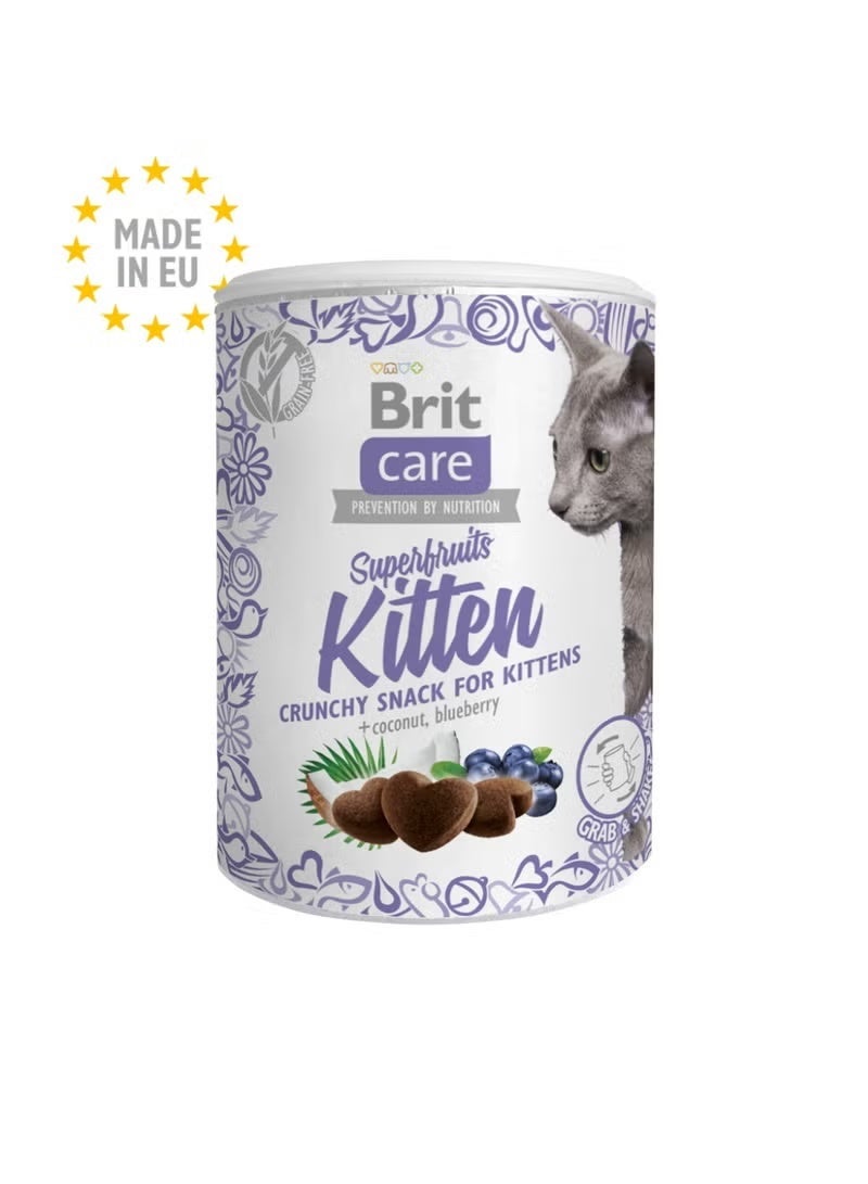 بريت كير وجبة خفيفة مقرمشة من الفواكه الخارقة + جوز الهند والتوت البري للقطط الصغيرة ١٠٠ غرام من بريت كير - عبوة من ٤ قطع - Image 4
