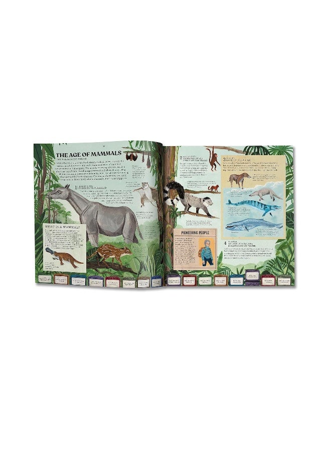 Evolution - Image 2