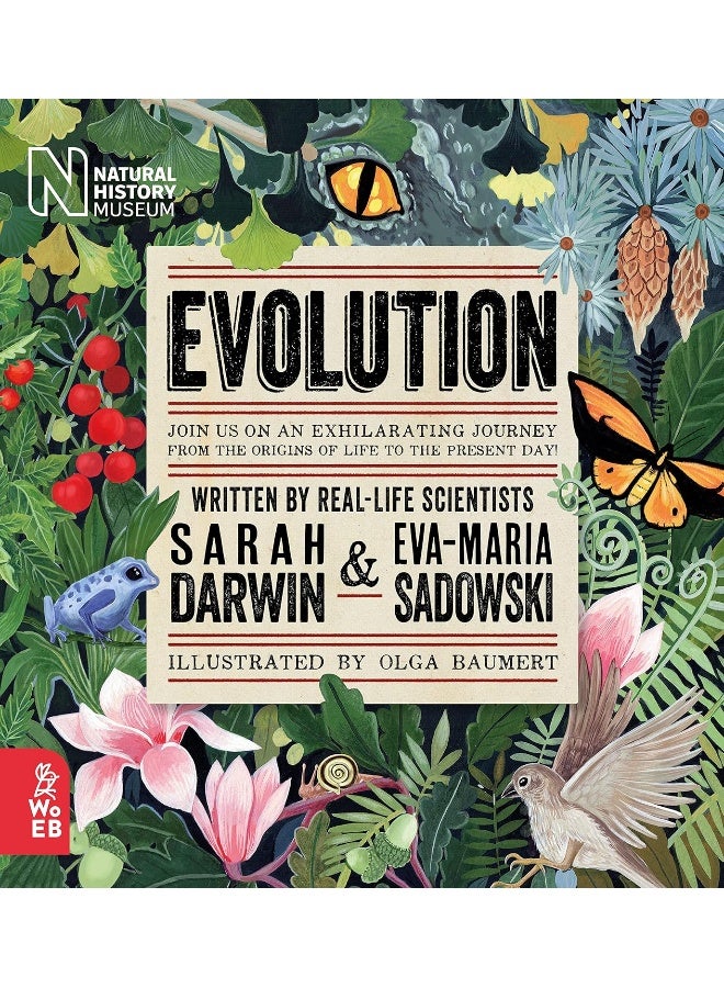 Evolution - Image 4