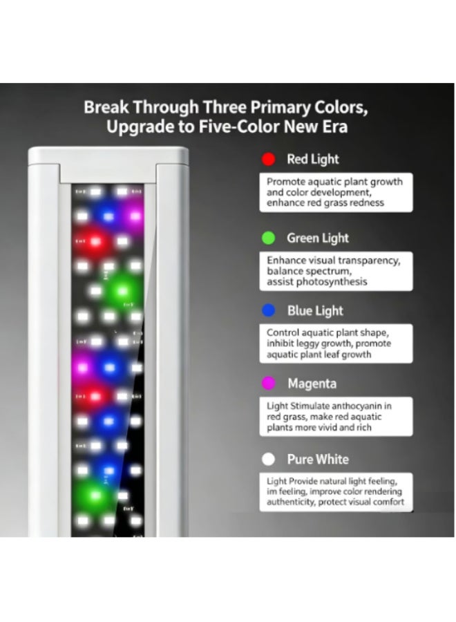 Colorful LED Aquarium Decorative And Plant Grow Light with Adjustable Timer ,Three-Color Changing Aquarium Light, 4-Button Control with Adjustable Color and Dimmable Brightness, with Flashing - Image 3