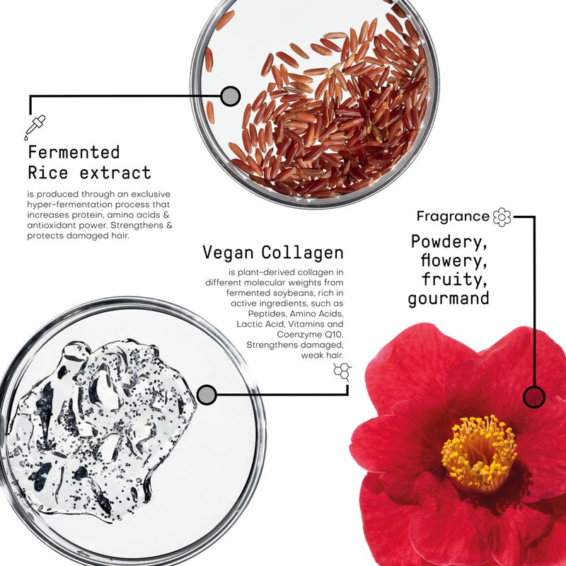 FRAMESI Morphosis Restructure Conditioner 8.4 fl oz - Image 3