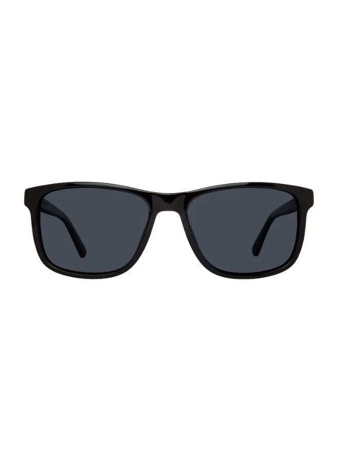 Privé Revaux Wayfarers Sunglasses