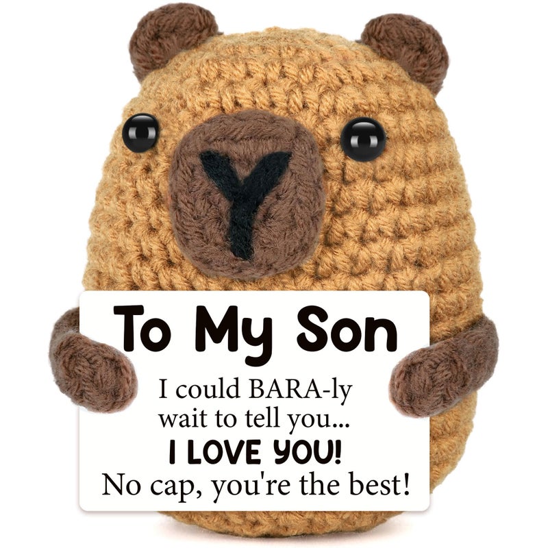 Vivagifts Gifts for Son from Mom Dad, Easter Baskets Stuffers for Teen Boy Son Easter Egg Fillers I Love You Son Graduation Fathers Day Birthday Gift for College Sons, Crochet Animals Capybara for Son in Law - Image 1