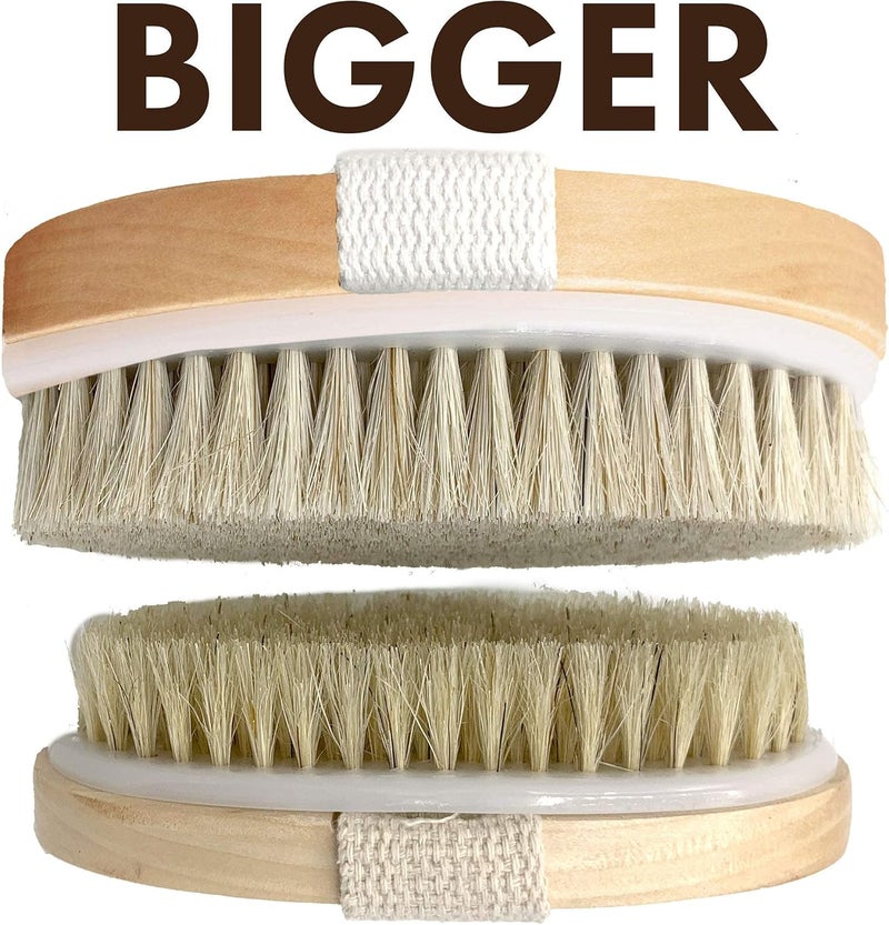 Scala Dry Brushing Body Brush SCALA Natural Bristle Body Brush Soft Body Exfoliating Brush Scrub for Dead Skin Cellulite Lymphatic Drainage Blood Flow Thicker Stronger Medium Strength - Image 5
