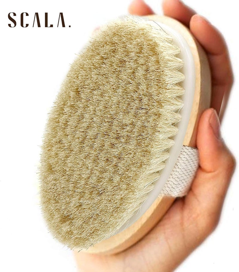 Scala Dry Brushing Body Brush SCALA Natural Bristle Body Brush Soft Body Exfoliating Brush Scrub for Dead Skin Cellulite Lymphatic Drainage Blood Flow Thicker Stronger Medium Strength - Image 4
