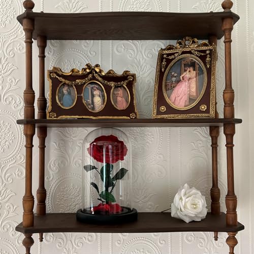 LOUVPY Forever Roses - Gifts Idea for Mom - Beauty and The Beast Rose in Glass Dome - Eternal Preserved Rose Flower - Gift for Her,Wife,Girlfriend(Red, 9inch) - Image 4
