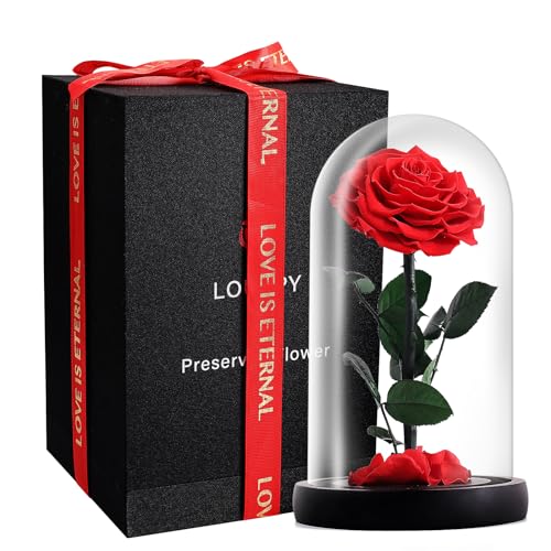 LOUVPY Forever Roses - Gifts Idea for Mom - Beauty and The Beast Rose in Glass Dome - Eternal Preserved Rose Flower - Gift for Her,Wife,Girlfriend(Red, 9inch) - Image 1