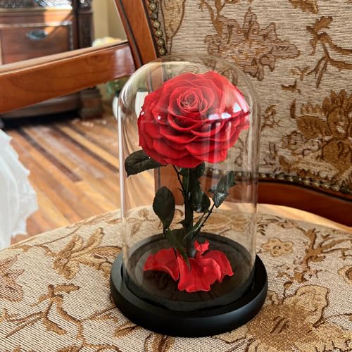 LOUVPY Forever Roses - Gifts Idea for Mom - Beauty and The Beast Rose in Glass Dome - Eternal Preserved Rose Flower - Gift for Her,Wife,Girlfriend(Red, 9inch) - Image 3