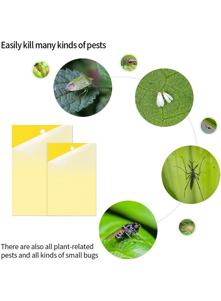 20-Piece Yellow Sticky Traps for Flying Insect Control Eco-Friendly Durable Pest Solution for Home Garden and Greenhouse - Image 2