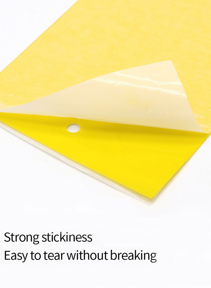 20-Piece Yellow Sticky Traps for Flying Insect Control Eco-Friendly Durable Pest Solution for Home Garden and Greenhouse - Image 4