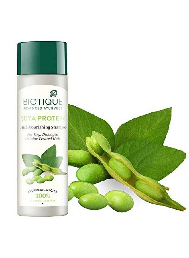 Biotique Soya Protein Intense Repair Shampoo & Conditioner For Dry & Damaged Hair 120 Ml - Image 3