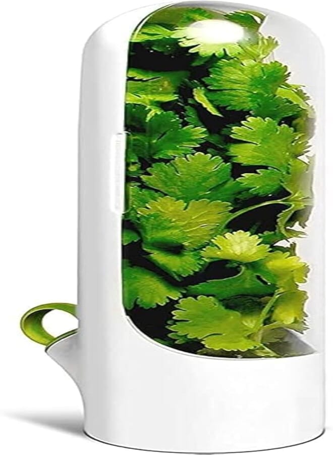 THECLOUDMALL Herb Saver Best Keeper for Freshest Produce Coriander Leaves and All Type Green Leaves Storage Case Refrigerator Storage Container for Well Packed Herb Holder (1 pcs)