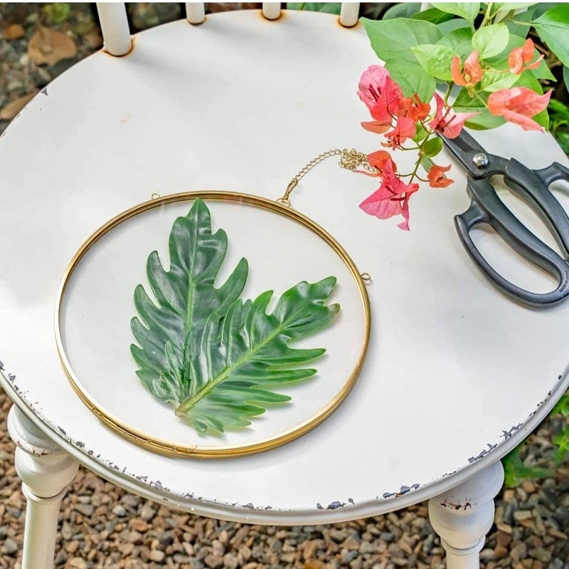 Spaziomaker Collections Wall Hanging Round Glass Photo Frame 4 Brass Material for Dried Pressed Flowers Double Glass Floating Frame for Gifting on Birthday Wedding Anniversary Pack of 1 - Image 1