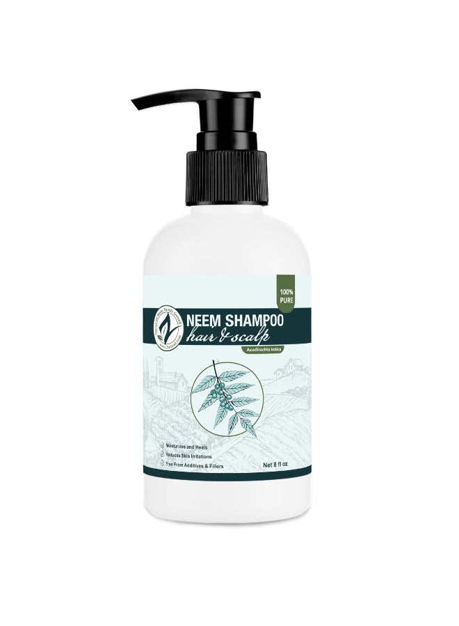 Zatural Neem Shampoo Gentle Scalp Hair Cleanser with Botanical Extracts Moisturizing Wash for Softness Volume and Shine 8 Fl Oz - Image 3