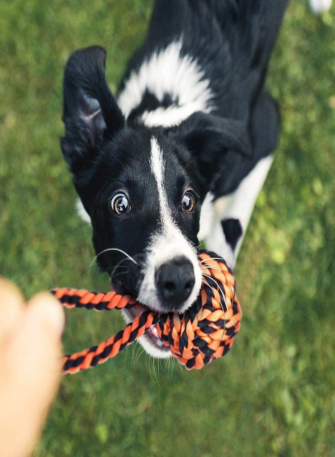 PETZLUV Dog Toys + Dog Chew Toys + Puppy Teething Toys + Rope Dog Toy + Dog Toys for Small to Medium Dog Toys + Dog Toy Pack + Tug Toy + Dog Toy Set + Washable Cotton Rope for Dogs(Pack of 6) - Image 5