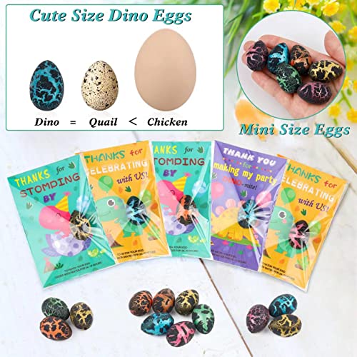 ANPHILE Dinosaur Party Favors 30 Pack Hatching Dinosaur Eggs with Card Bulk Dino Birthday Goodie Bag Stuffers Novelty Birthday Party Favors for Kids - Image 5