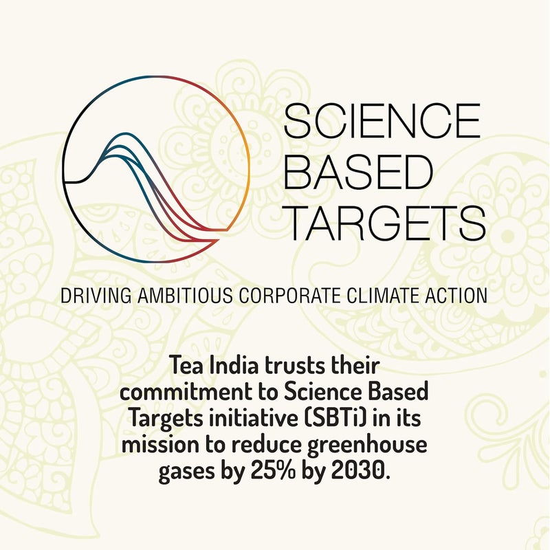 Tea India Masala Chai - Pack of 6 - Image 5