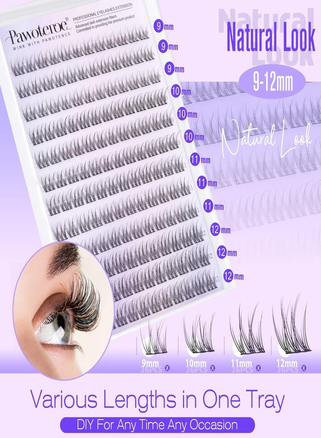 Pawotence Natural Lash Clusters Wispy Cluster Eyelash Extensions 144pcs Eyelash Clusters 9-12mm Individual Lashes Extension DIY Soft C Curved Lashes Clusters - Image 2