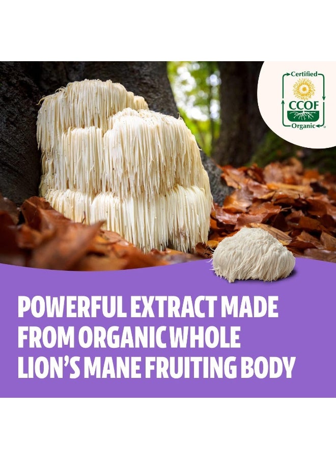 FreshCap Mushrooms FreshCap Lion's Mane Mushroom Supplement - Natural Nootropic for Brain Health, Cognition and Mood- Two Month Supply (120 Capsules) - Organic and Dual Extracted 1000 mg - Image 3