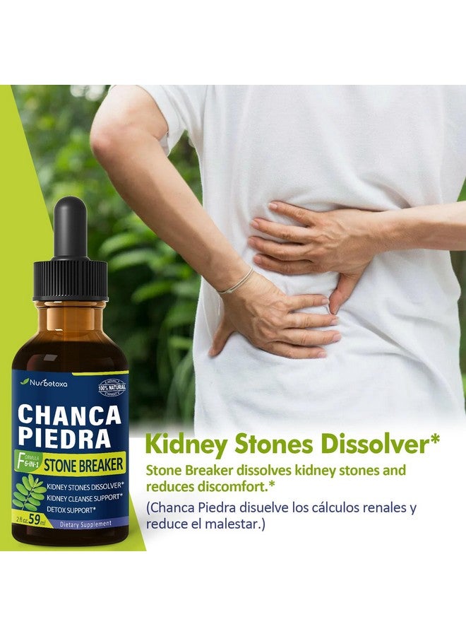 Nurbetoxa نربتوكسا مستخلص حجر تشانكا بييدرا لقطرات كسر الحصى للكلى، تنظيف الكلى، مكمل إزالة السموم وإصلاح مع ذيل الحصان والهندباء. تشانكا بييدرا للكلى. 2 أونصة - Image 2