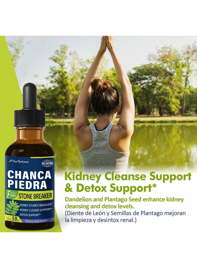 Nurbetoxa نربتوكسا مستخلص حجر تشانكا بييدرا لقطرات كسر الحصى للكلى، تنظيف الكلى، مكمل إزالة السموم وإصلاح مع ذيل الحصان والهندباء. تشانكا بييدرا للكلى. 2 أونصة - Image 3