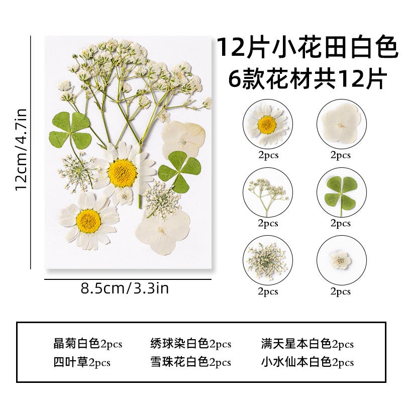 Postcard Retro Ins Style Scenery Healing Dreamy Artistic Dried Flower Greeting Card Illustration Christmas Gift Message Wall - Image 1