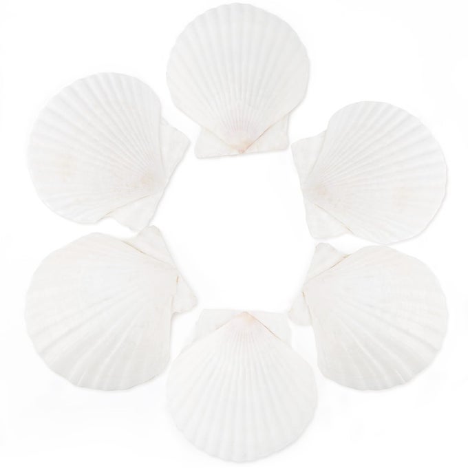 6PCS 45INCH SCALLOP SHELLS FOR CRAFTS NATURAL LARGE SCALLOP SEA SHELLS FOR CRAFTING SEASHELLS BEACH DECORATIONS FOR HOME BEACHING WEDDING DECORATION