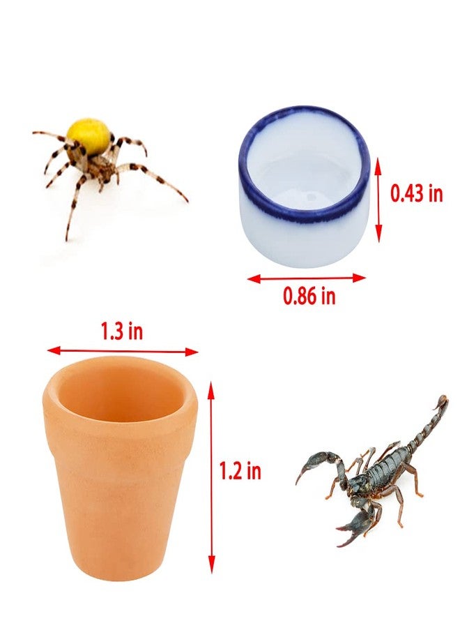 DQITJ 2 Pcs Spider Ceramic Small Hideout Shelter, with 6 Pcs Micro Water Bowl for Tarantula Scorpion Millipede Spider Tiny Reptile - Image 4
