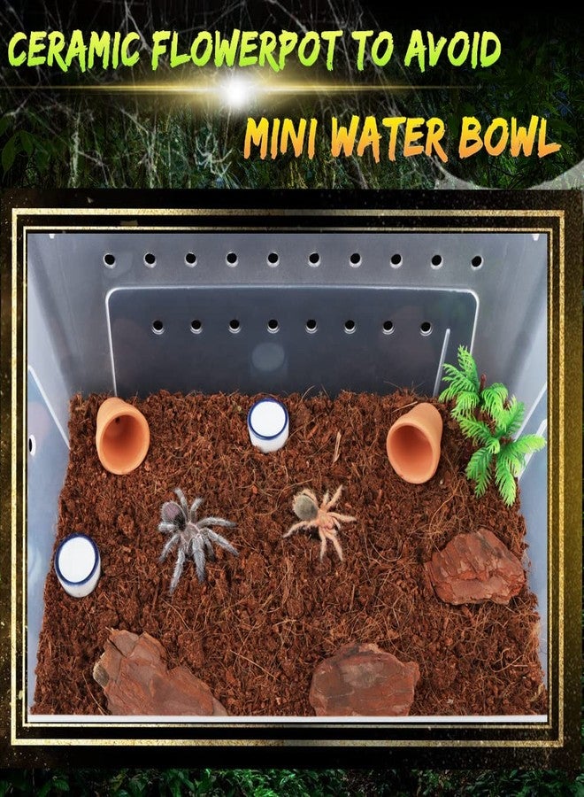DQITJ 2 Pcs Spider Ceramic Small Hideout Shelter, with 6 Pcs Micro Water Bowl for Tarantula Scorpion Millipede Spider Tiny Reptile - Image 2