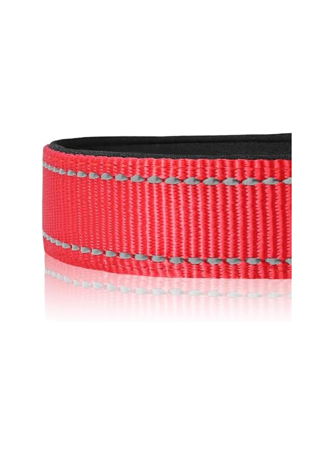 Reflective Dog Collar, Soft Neoprene Padded, Metal D-Ring, Nylon Pet Collar Adjustable for Small Dogs, Red, S - Image 4