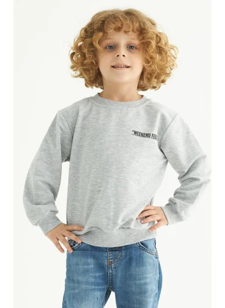Zepkids Crew Neck Long Sleeve Weekend Feel Printed Gray Color Boy's Sweatshirt